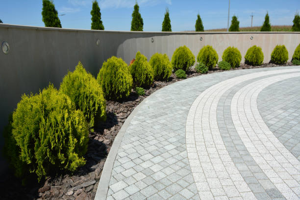 Best Custom Driveway Pavers  in USA